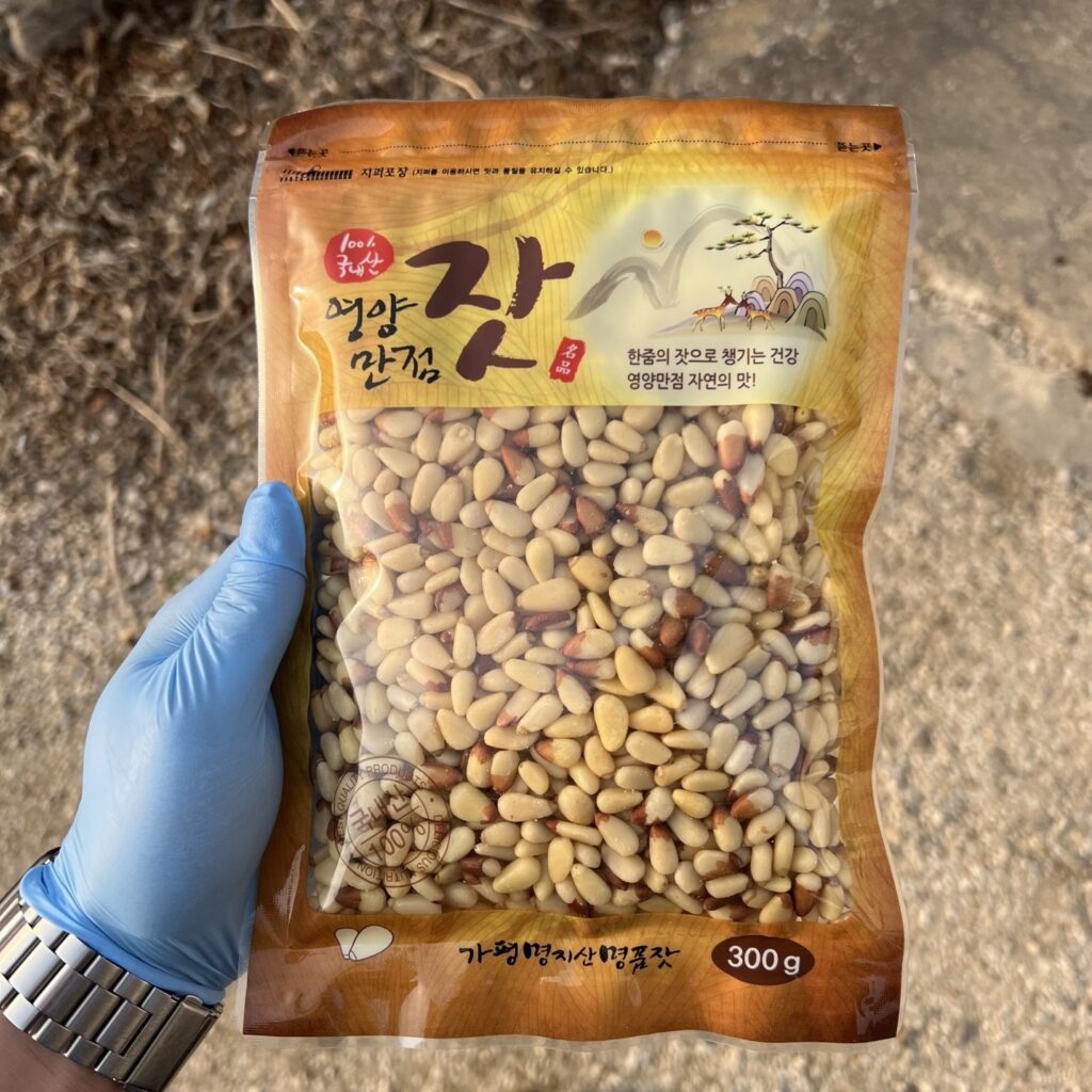 가평잣1