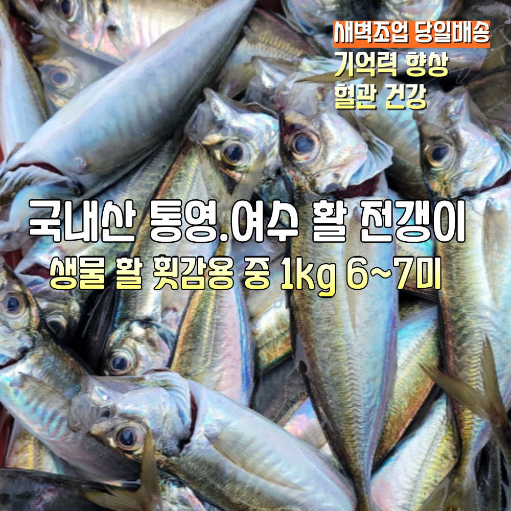 전갱이1