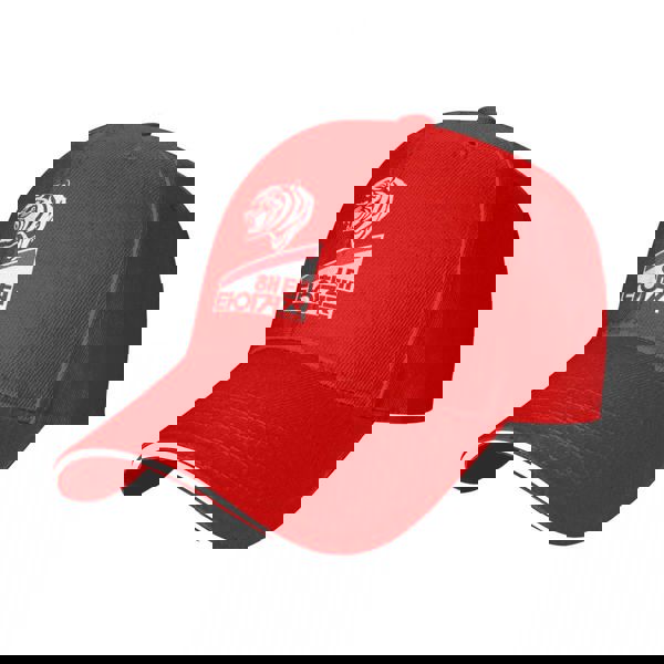 해태타이거즈2