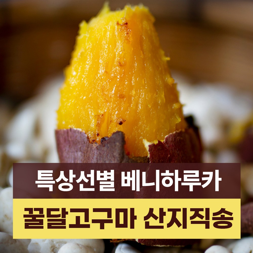 고구마3