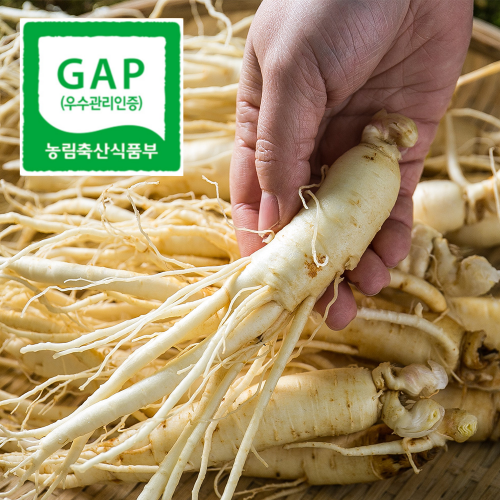 파삼3
