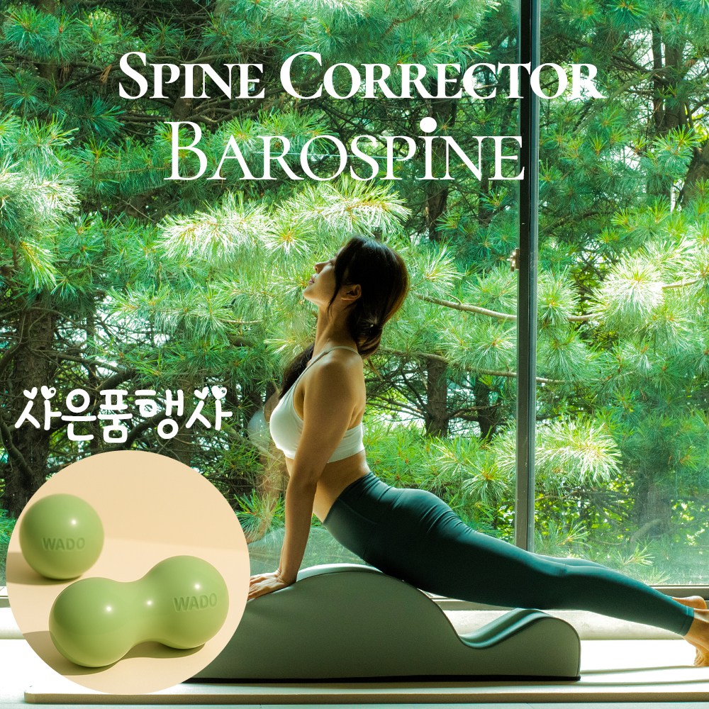 스파인코렉터4